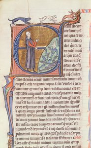 Ms 426 fol.213 Un doctor junto a un estanque de peces, de 
